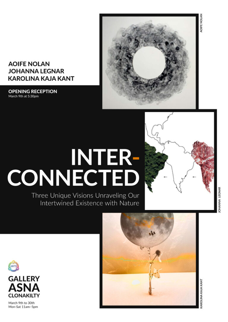Inter Connected, Asna Gallery, Ireland